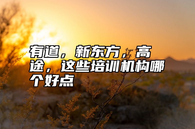 有道，新东方，高途，这些培训机构哪个好点