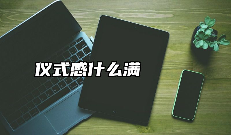 仪式感什么满