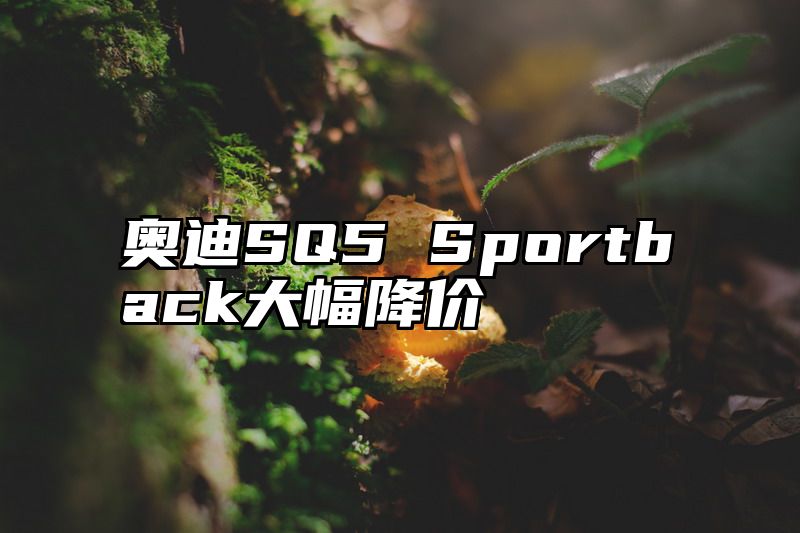点击查看《奥迪SQ5 Sportback大幅降价》全文