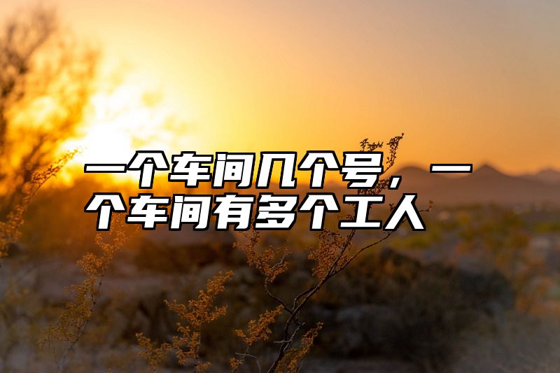 一个车间几个号，一个车间有多个工人