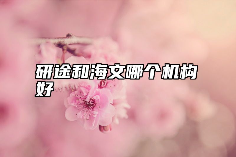 研途和海文哪个机构好