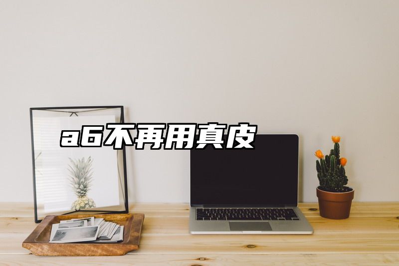a6不再用真皮