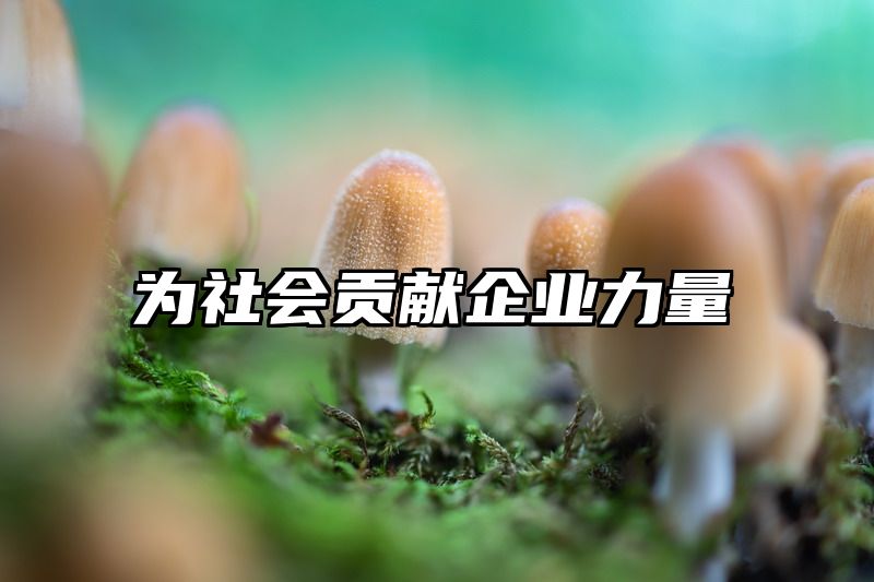 为社会贡献企业力量