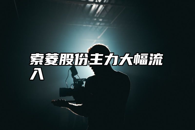 索菱股份主力大幅流入
