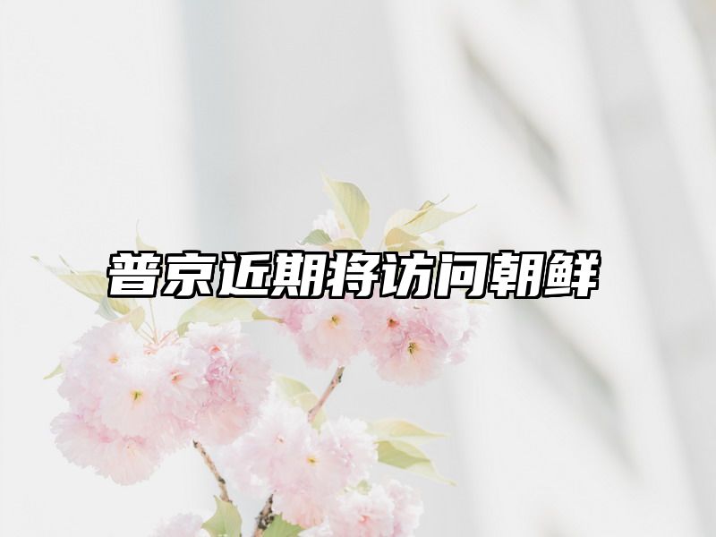 普京近期将访问朝鲜