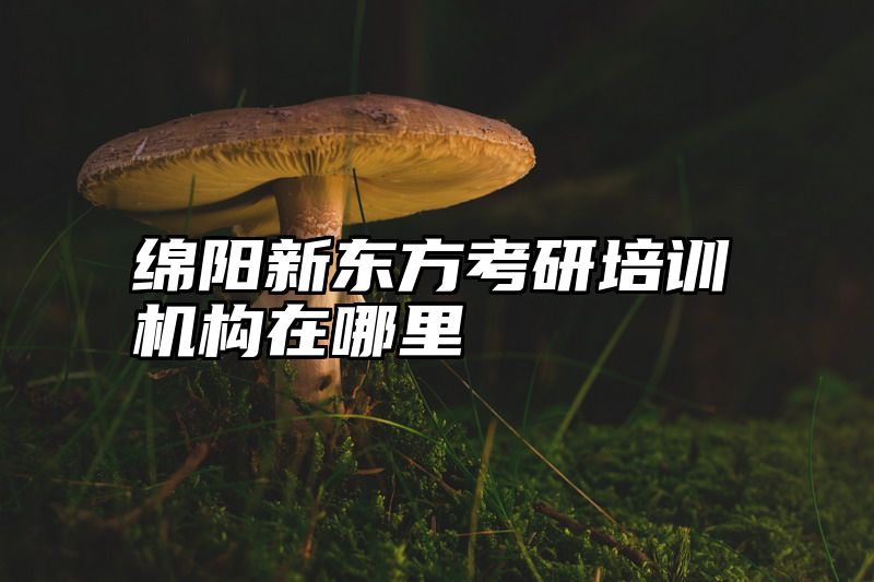 点击查看《绵阳新东方考研培训机构在哪里》全文