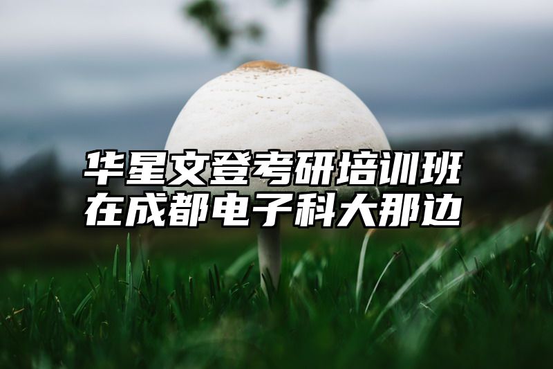 华星文登考研培训班在成都电子科大那边