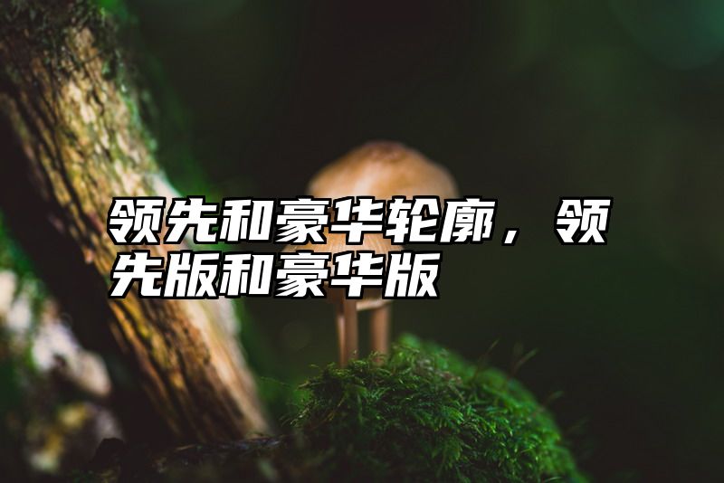 领先和豪华轮廓，领先版和豪华版