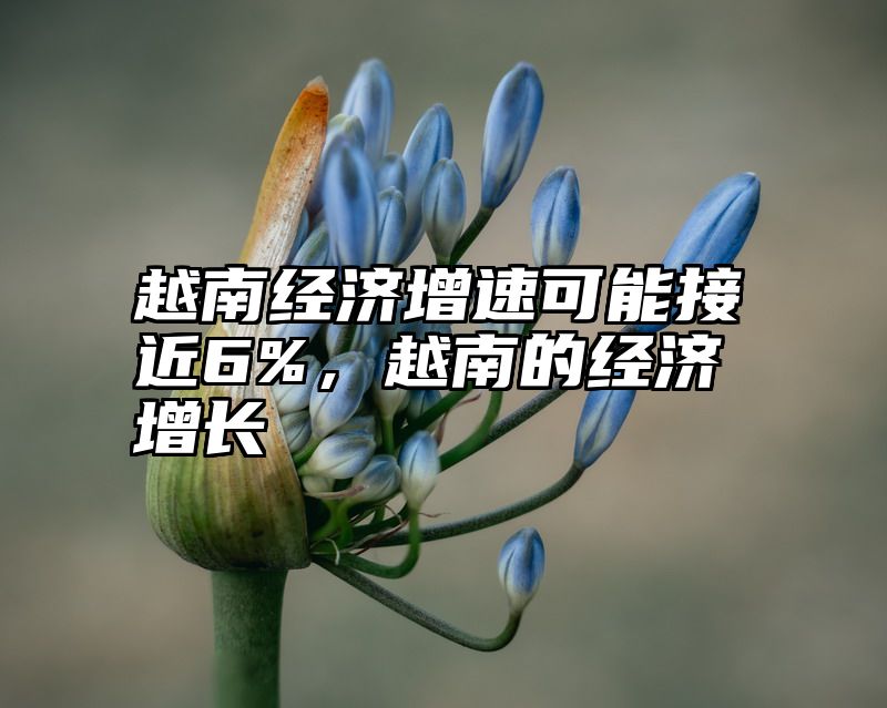 越南经济增速可能接近6%，越南的经济增长
