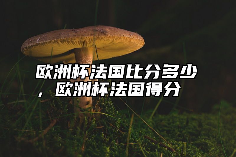 欧洲杯法国比分多少，欧洲杯法国得分