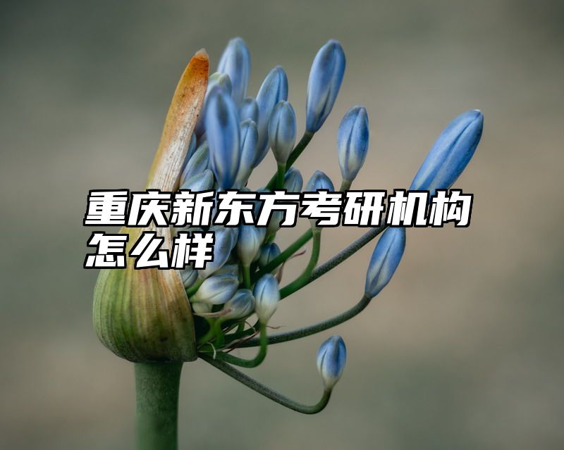 点击查看《重庆新东方考研机构怎么样》全文