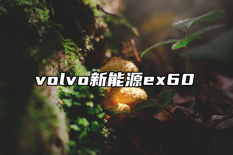 volvo新能源ex60