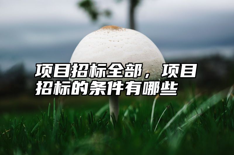 项目招标全部，项目招标的条件有哪些