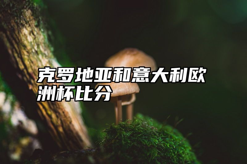 克罗地亚和意大利欧洲杯比分