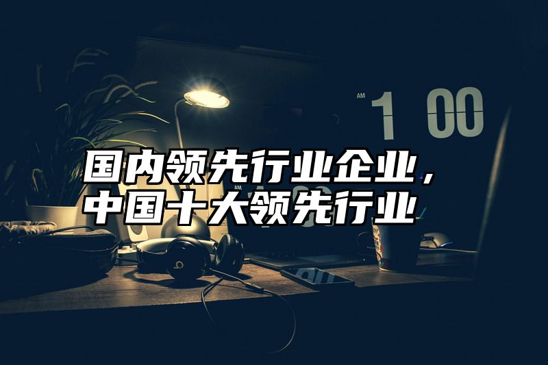 国内领先行业企业，中国十大领先行业