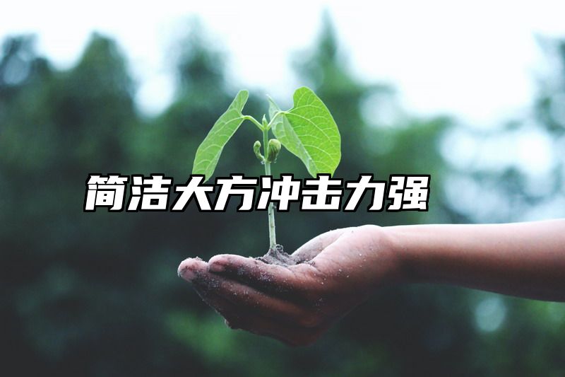 简洁大方冲击力强