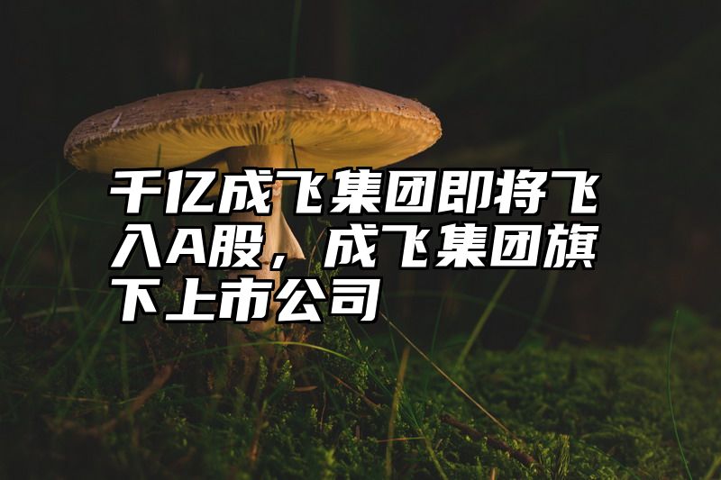 千亿成飞集团即将飞入A股，成飞集团旗下上市公司