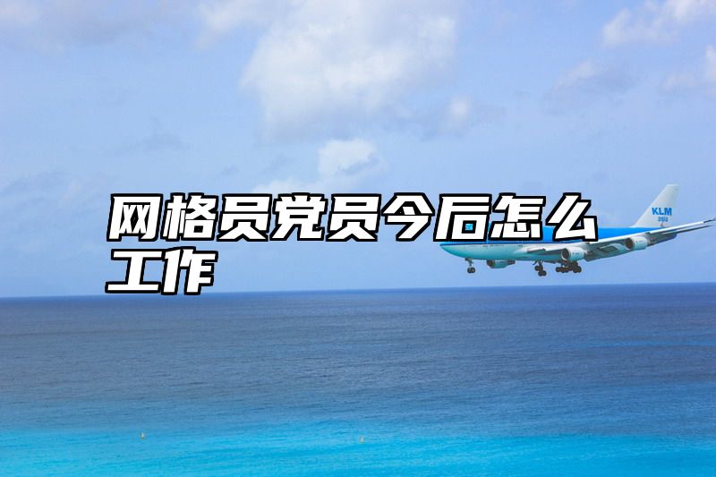 网格员党员今后怎么工作