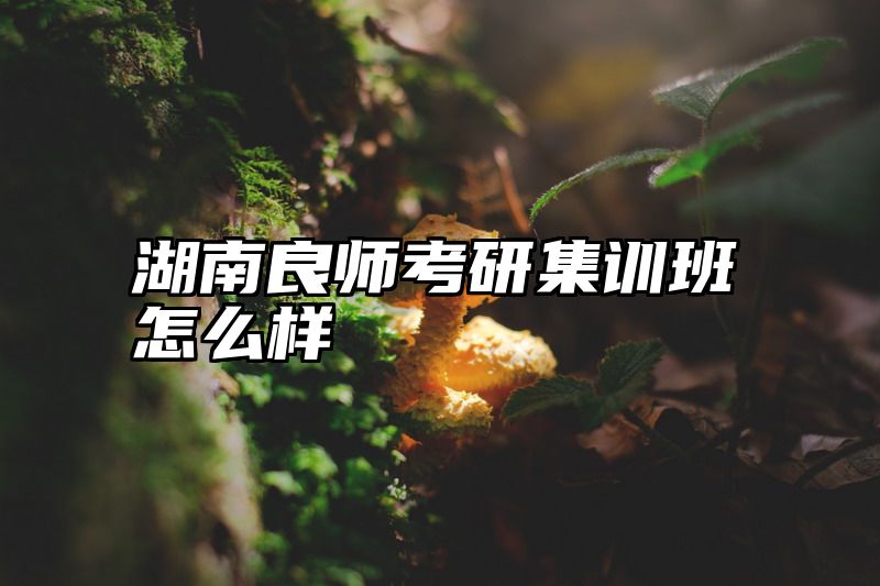点击查看《湖南良师考研集训班怎么样》全文
