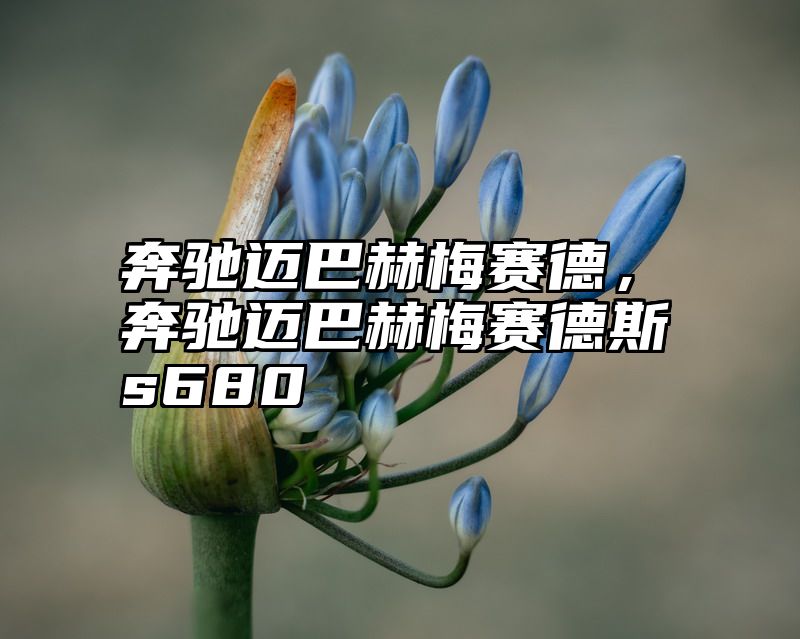 奔驰迈巴赫梅赛德，奔驰迈巴赫梅赛德斯s680
