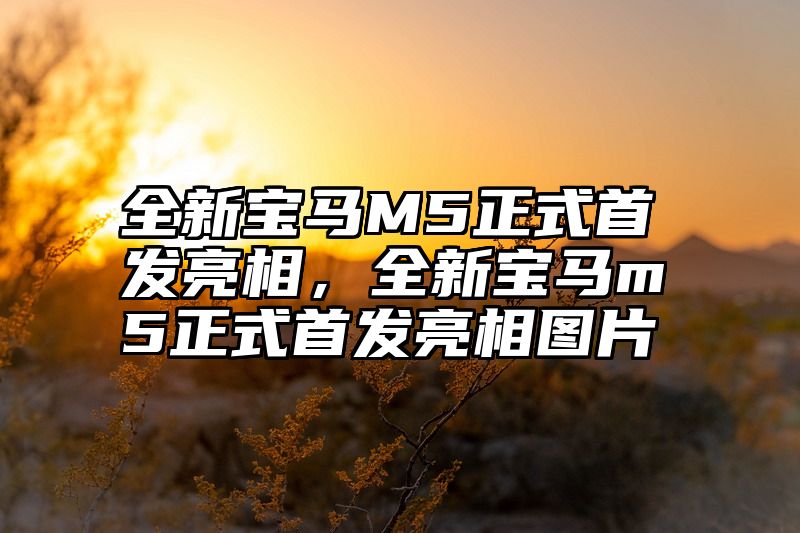 点击查看《全新宝马M5正式首发亮相,全新宝马m5正式首发亮相图片》全文