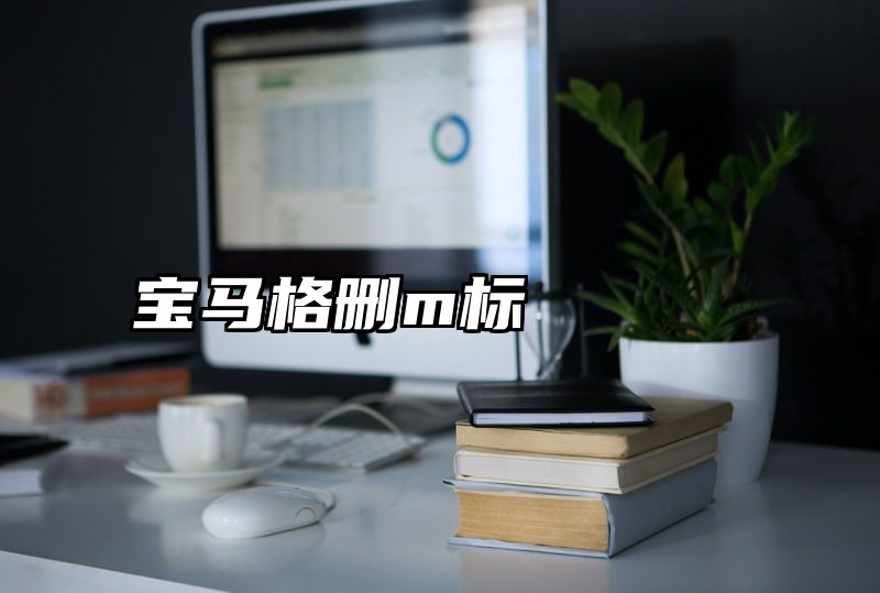宝马格删m标