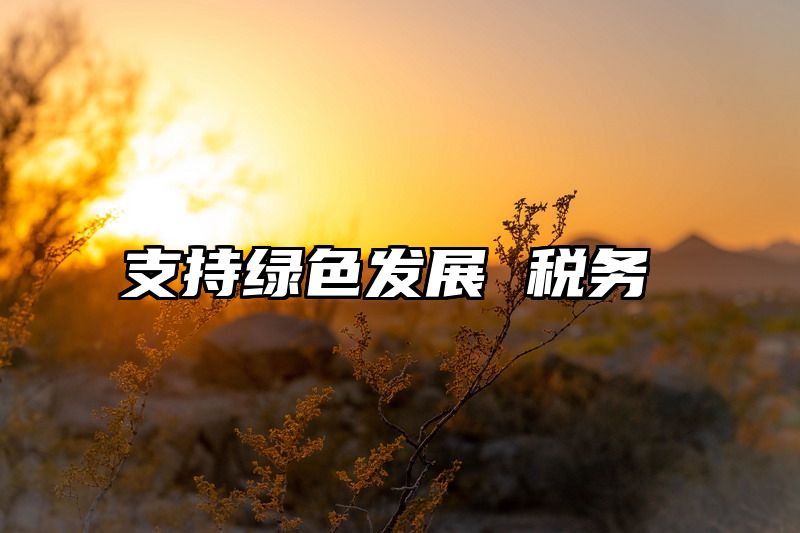 支持绿色发展 税务