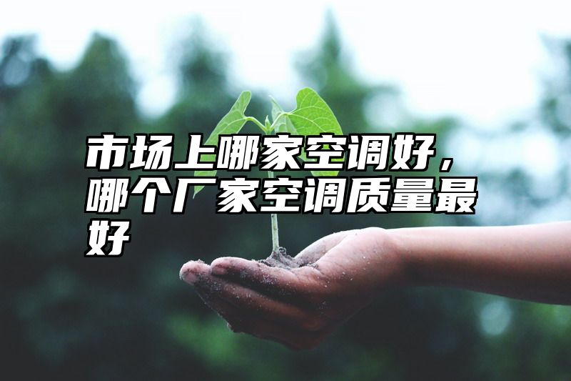 市场上哪家空调好，哪个厂家空调质量最好