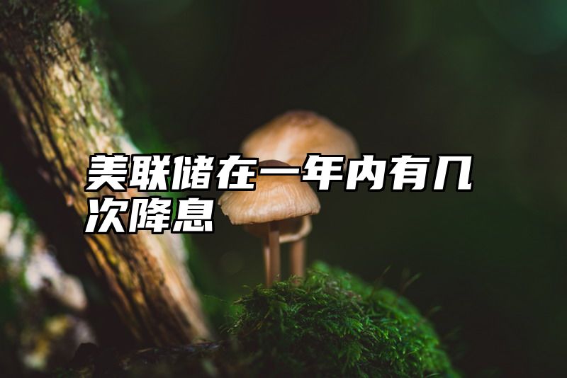 美联储在一年内有几次降息