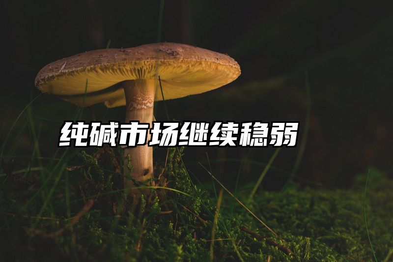 纯碱市场继续稳弱