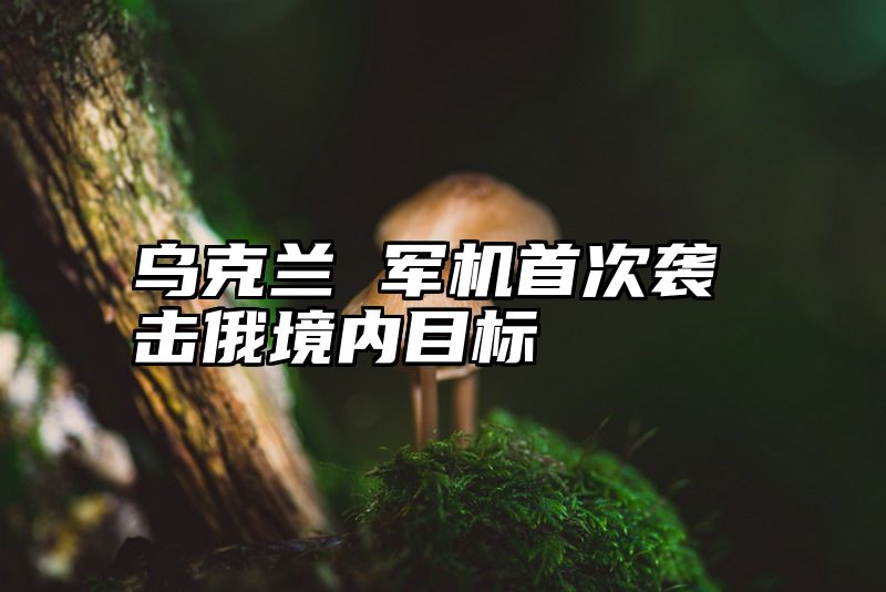 乌克兰 军机首次袭击俄境内目标
