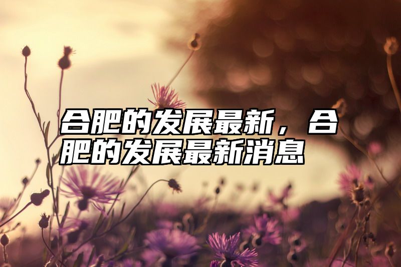 合肥的发展最新，合肥的发展最新消息