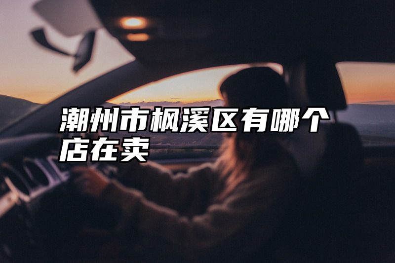 潮州市枫溪区有哪个店在卖