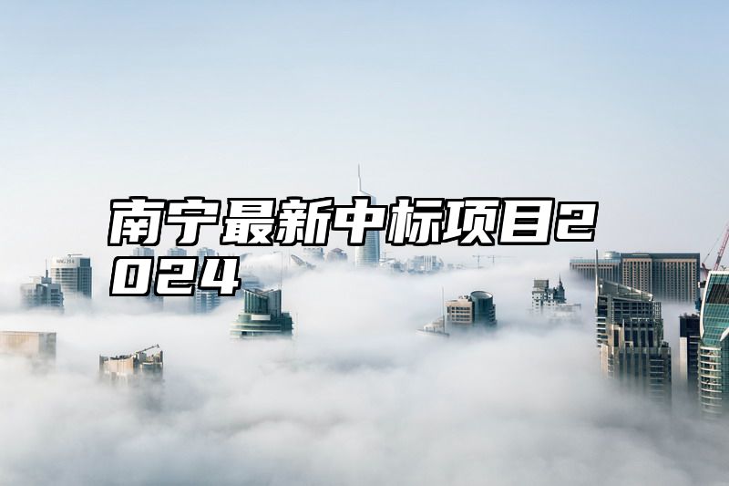 南宁最新中标项目2024