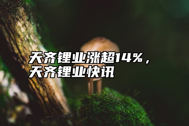 天齐锂业涨超14%，天齐锂业快讯