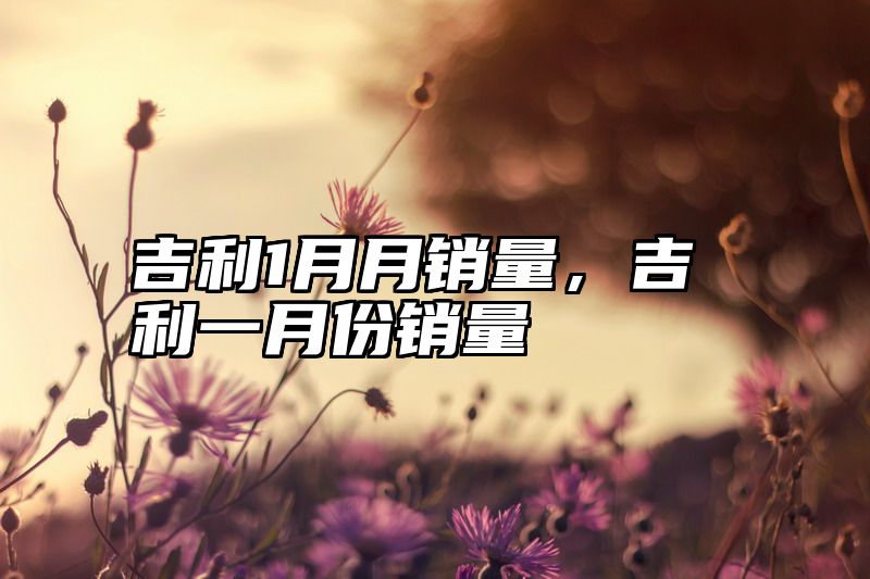 吉利1月月销量，吉利一月份销量