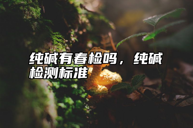 纯碱有春检吗，纯碱检测标准
