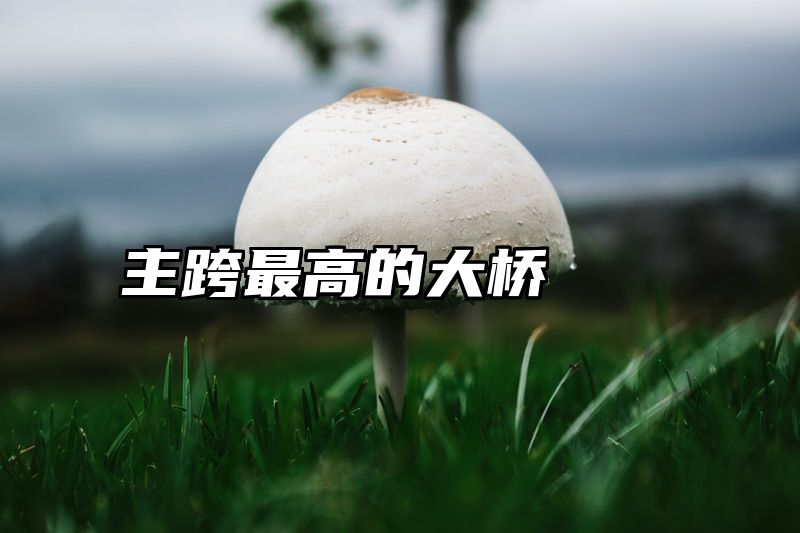 主跨最高的大桥