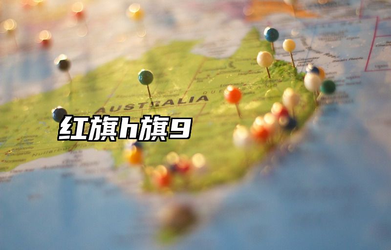 红旗h旗9