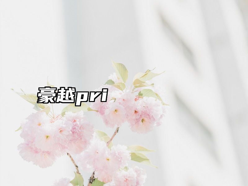 点击查看《豪越pri》全文