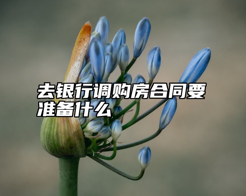 去银行调购房合同要准备什么
