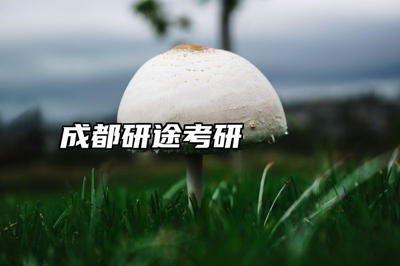 点击查看《成都研途考研》全文