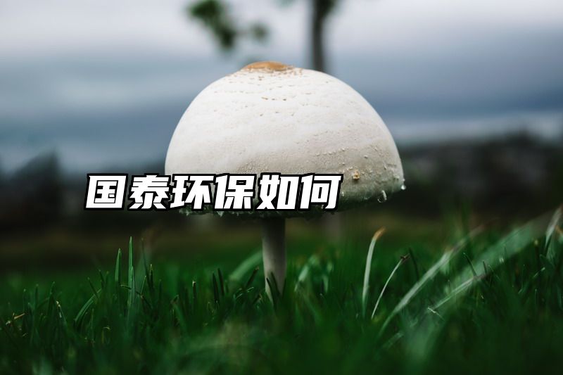 国泰环保如何