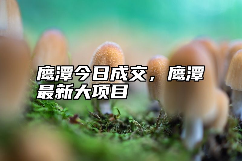 鹰潭今日成交，鹰潭最新大项目