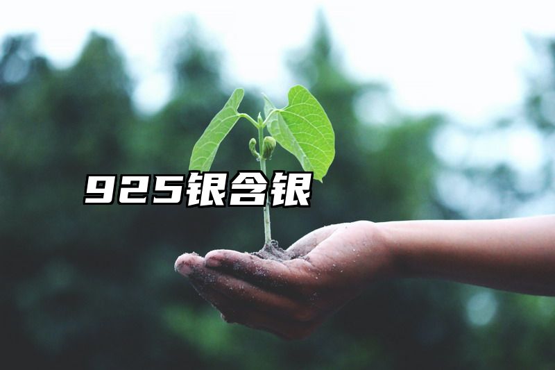 925银含银