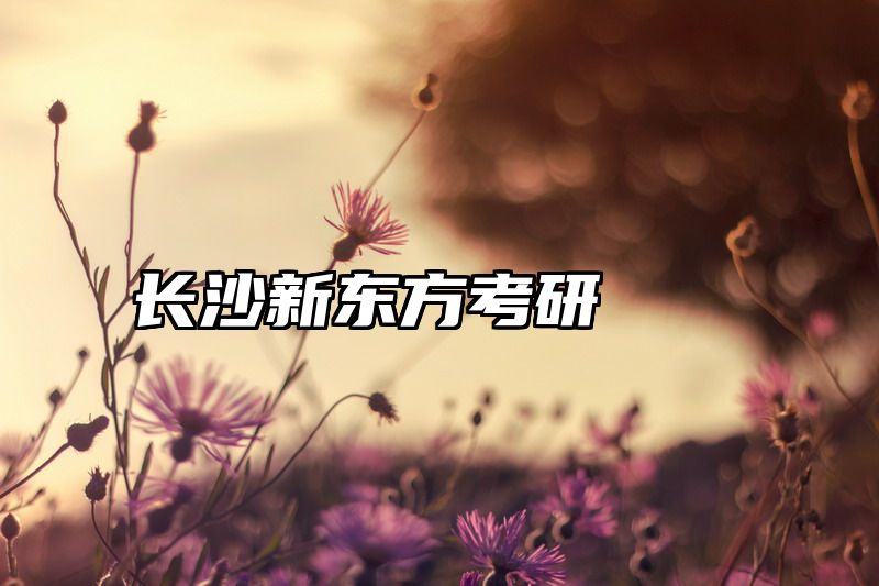 长沙新东方考研