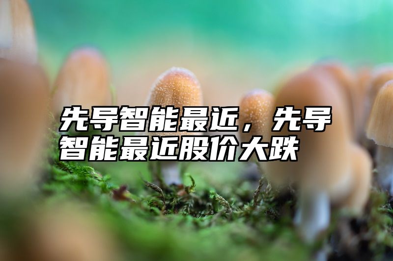先导智能最近，先导智能最近股价大跌