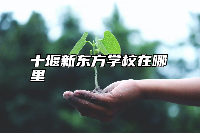 十堰新东方学校在哪里