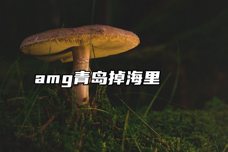 amg青岛掉海里