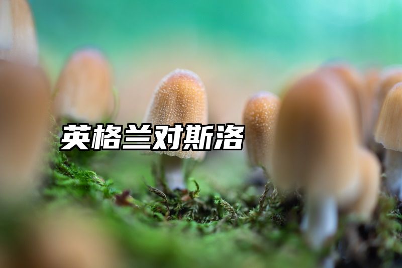 英格兰对斯洛